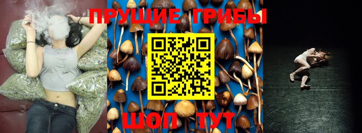 Псилоцибиновые грибы GOLDEN TEACHER  Галлюциногенные грибы прущие грибы  Вход с VPN  Вичуга 